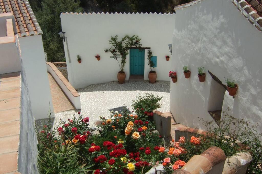 Casa Rosa, Con Encanto Y Piscina Climatizada Holiday home